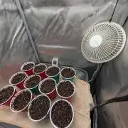 Autumn 26' Run