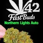 Fastbuds Northern lights Auto