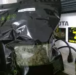 2nd Spartan Sour Diesel