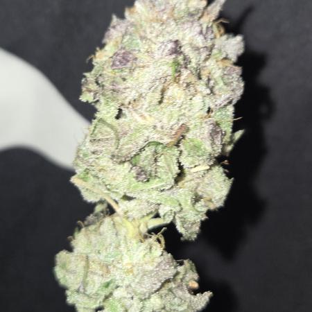 Granddaddy Purple