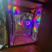 Wild Seed Pheno Hunt in Hidden Cabin