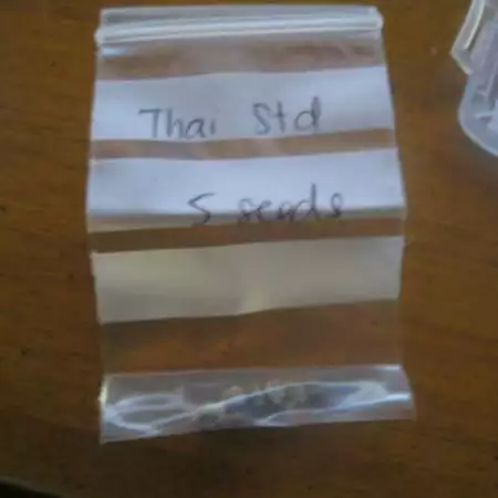 Thai Sativa 