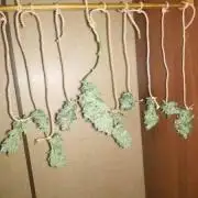 Auto Bubble Gum Femenised