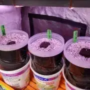 Ripley OG (x) Strawberry Nuggets