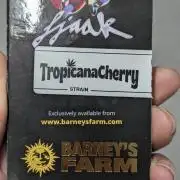 Biotabs/Autopot Tropicana Cherry
