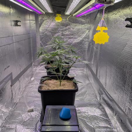 RQS ~ North ThunderFuck