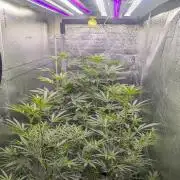 RQS ~ North ThunderFuck