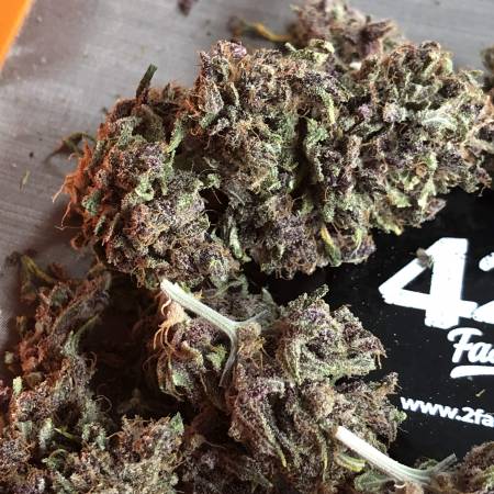 2207 Fast Buds Testers