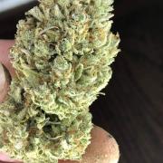 2205. Fast Buds Testers