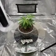 😈 Davy Jone’s Locker 😈