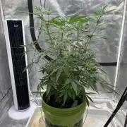 😈 Davy Jone’s Locker 😈