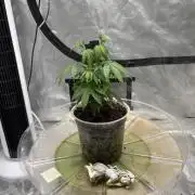 😈 Davy Jone’s Locker 😈