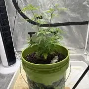 😈 Davy Jone’s Locker 😈