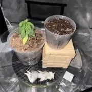 😈 Davy Jone’s Locker 😈