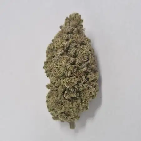 Blueberry Swirl