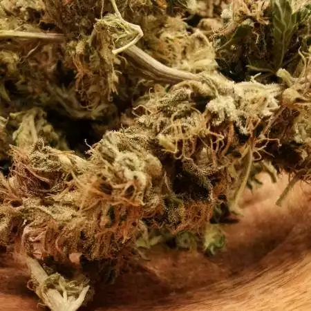 UK Outdoor - RQS Critical