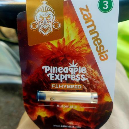 Pineapple Express Auto F1