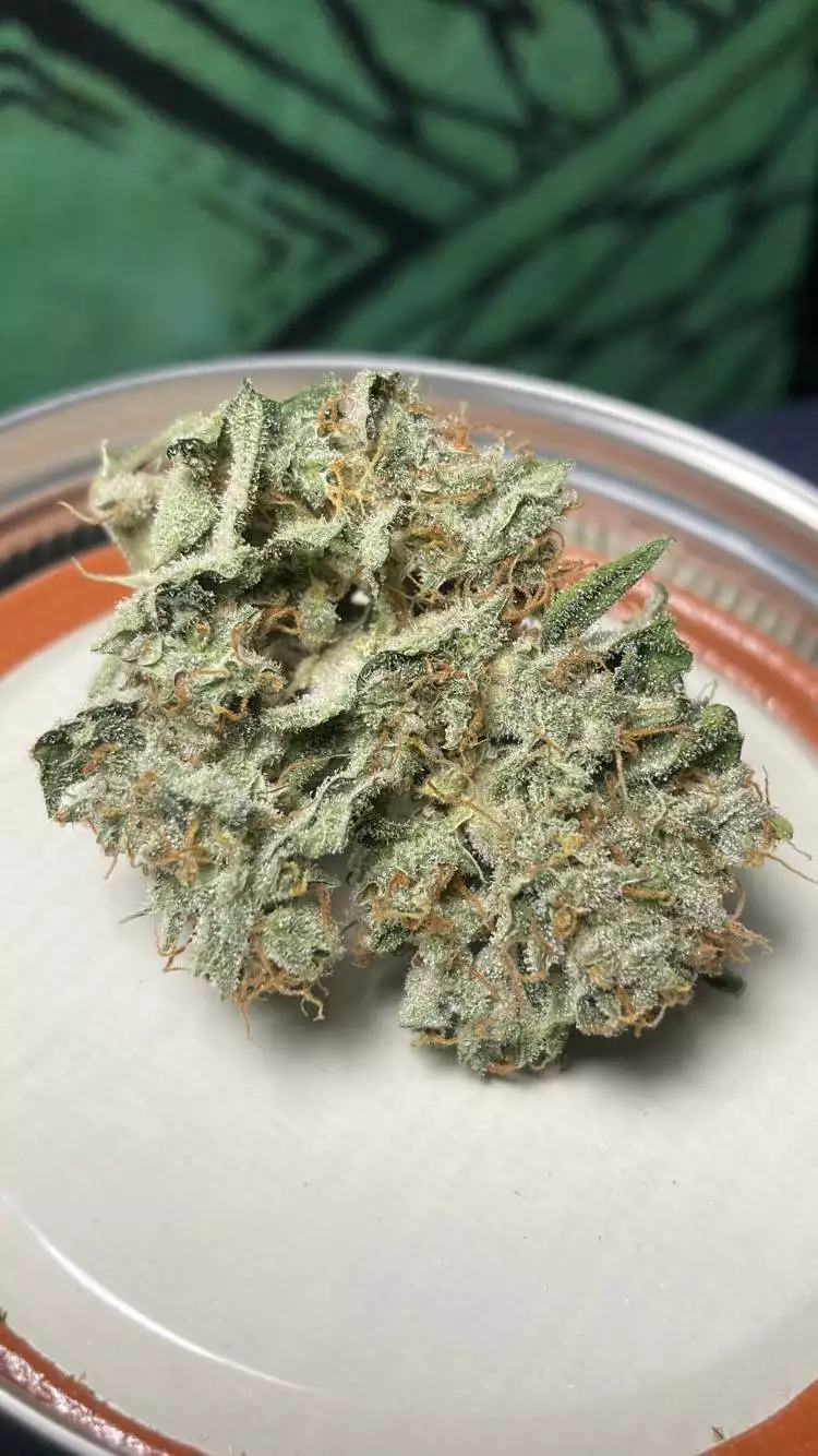 471740f2020868d9d34e2bafa8dee1