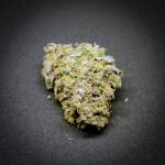 Lemon Zkittlez - DWC