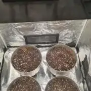 Gorilla Cookies.
