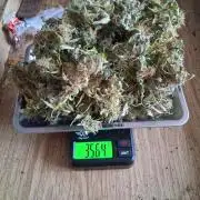 godfeather og f1 auto