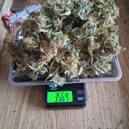 godfeather og f1 auto