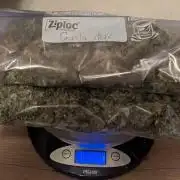 MAC Ganja