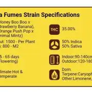 Banana Fumes