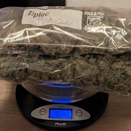 Pink Gelato