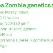 Grampa Zombie