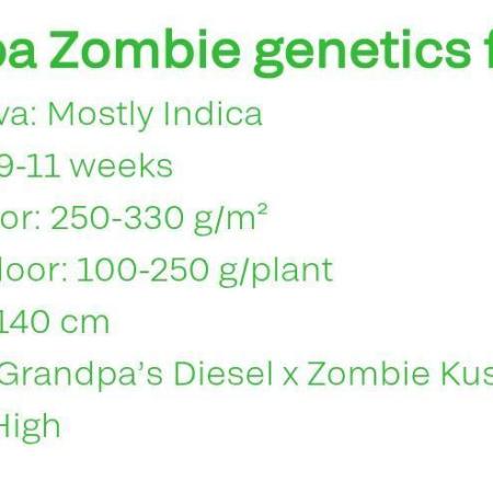 Grampa Zombie