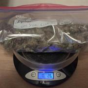 Girl Scout Cookies