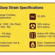 Citrus Slurp