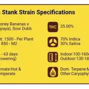 Papaya Stank