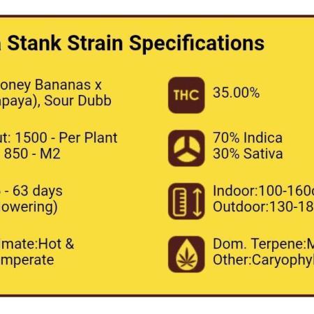 Papaya Stank