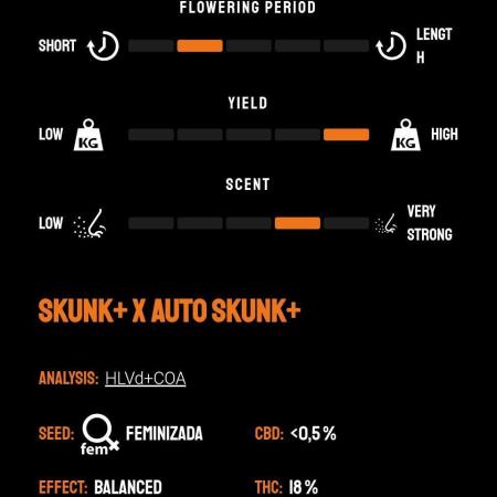 Skunk