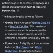 Aura Hash