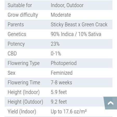 Sticky Broccoli