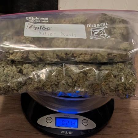 Killer Kush