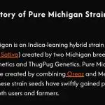 Pure Michigan