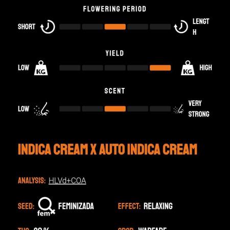 Candy Cream