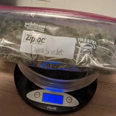 Dream Sherbet