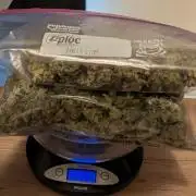 Hellfire OG