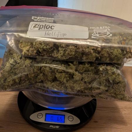 Hellfire OG
