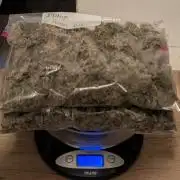 Cereal Milk