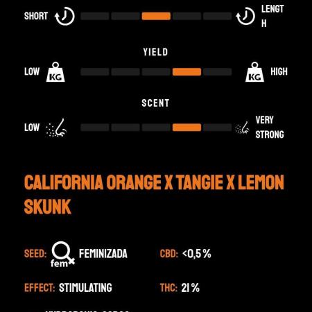 Clementine Slush