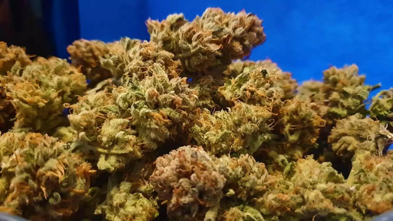 Tasty Terpenes (ex. Nirvana) / Advanced Nutrients nutrient info