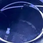 Gelato #33 Advanced seeds