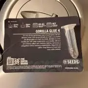 Gorilla Glue 4- GB seeds-Aeroponic (GG4)