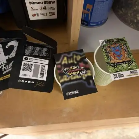 Strawberry Banana and Green Poison XL